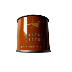 Arizona Desert Feel The Sun Canyon Cactus Color White Scented Candle 3.5 OZ